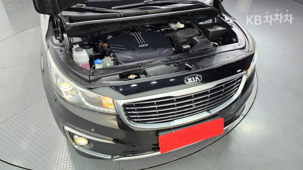 2017 - kia carnival
