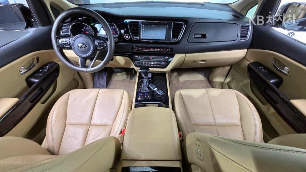 2017 - kia carnival