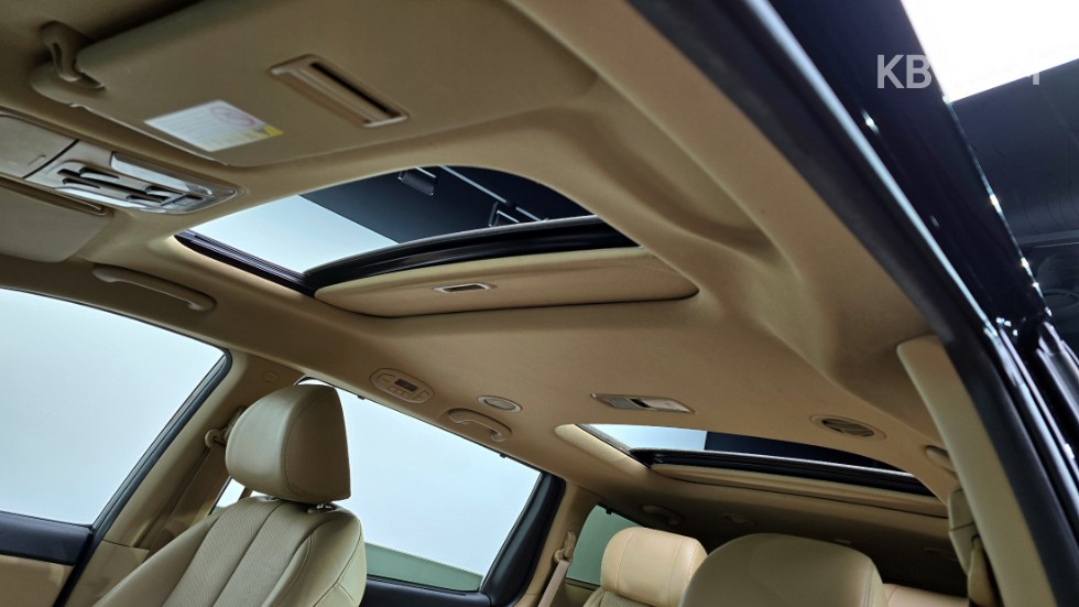 2017 - kia carnival