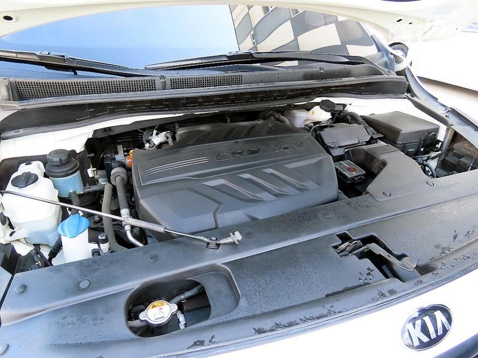 2019 - kia carnival