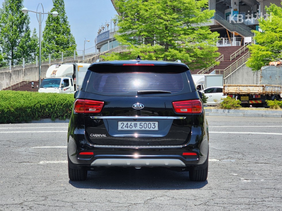 2019 - kia carnival
