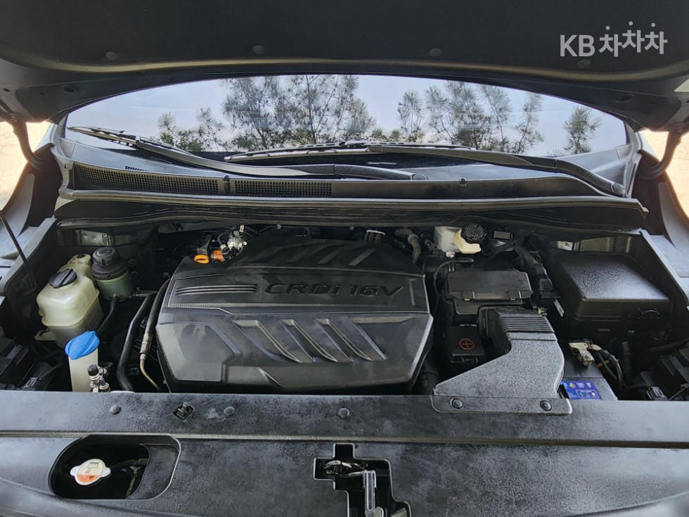 2019 - kia carnival