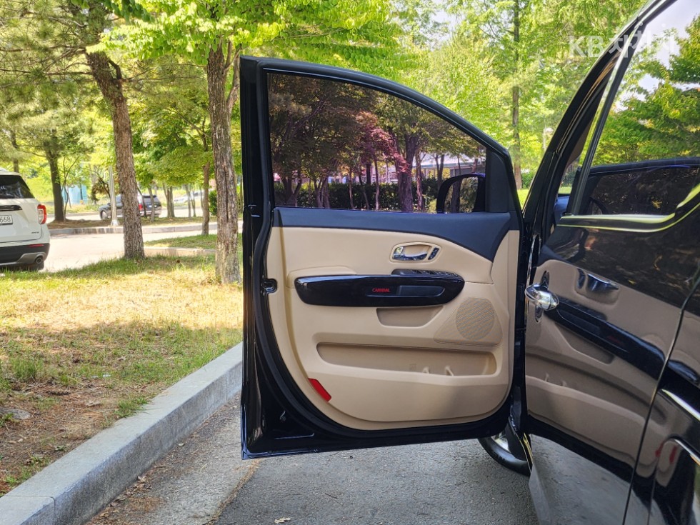 2019 - kia carnival