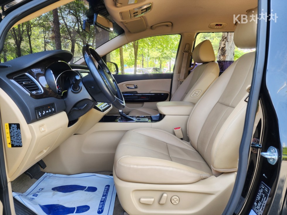 2019 - kia carnival