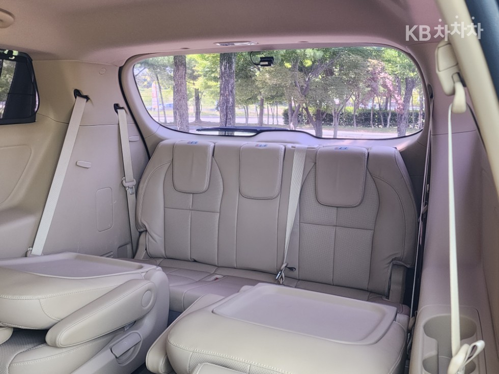 2019 - kia carnival