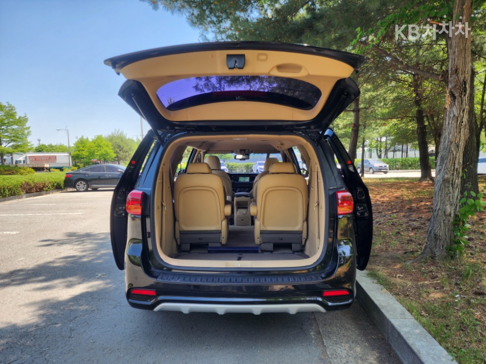 2019 - kia carnival