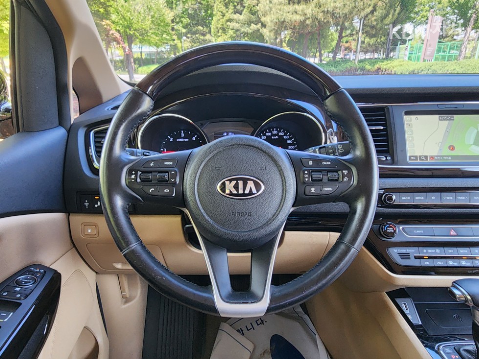 2019 - kia carnival