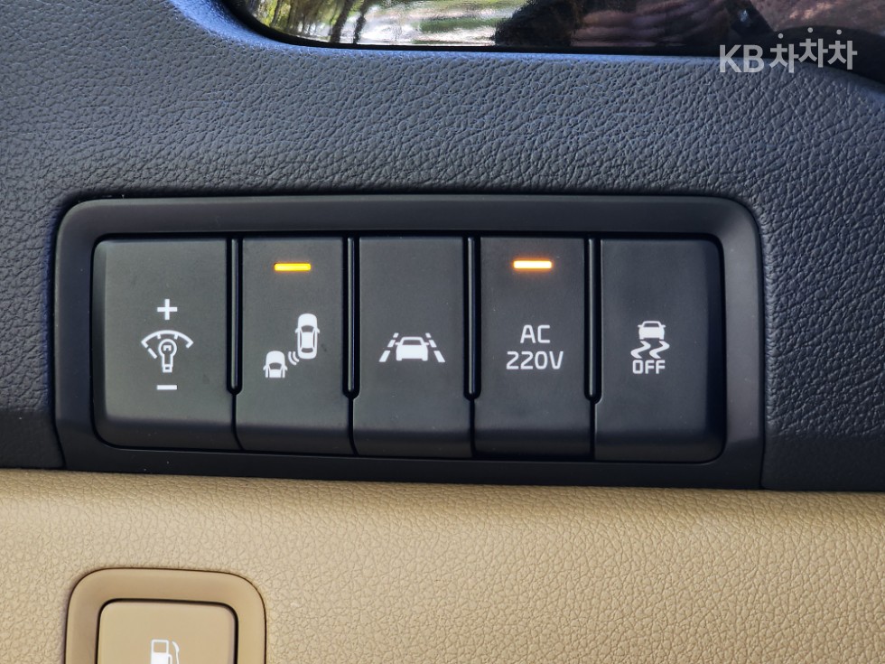 2019 - kia carnival