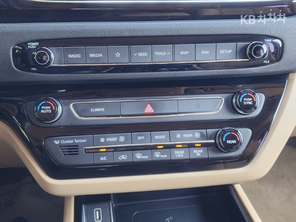 2019 - kia carnival
