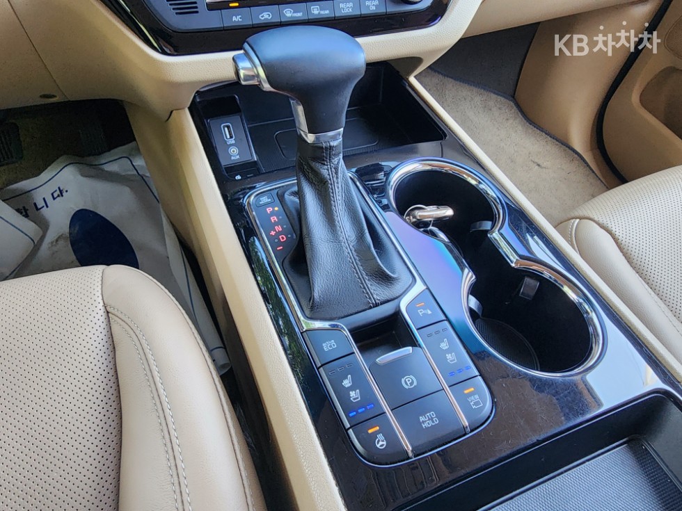 2019 - kia carnival