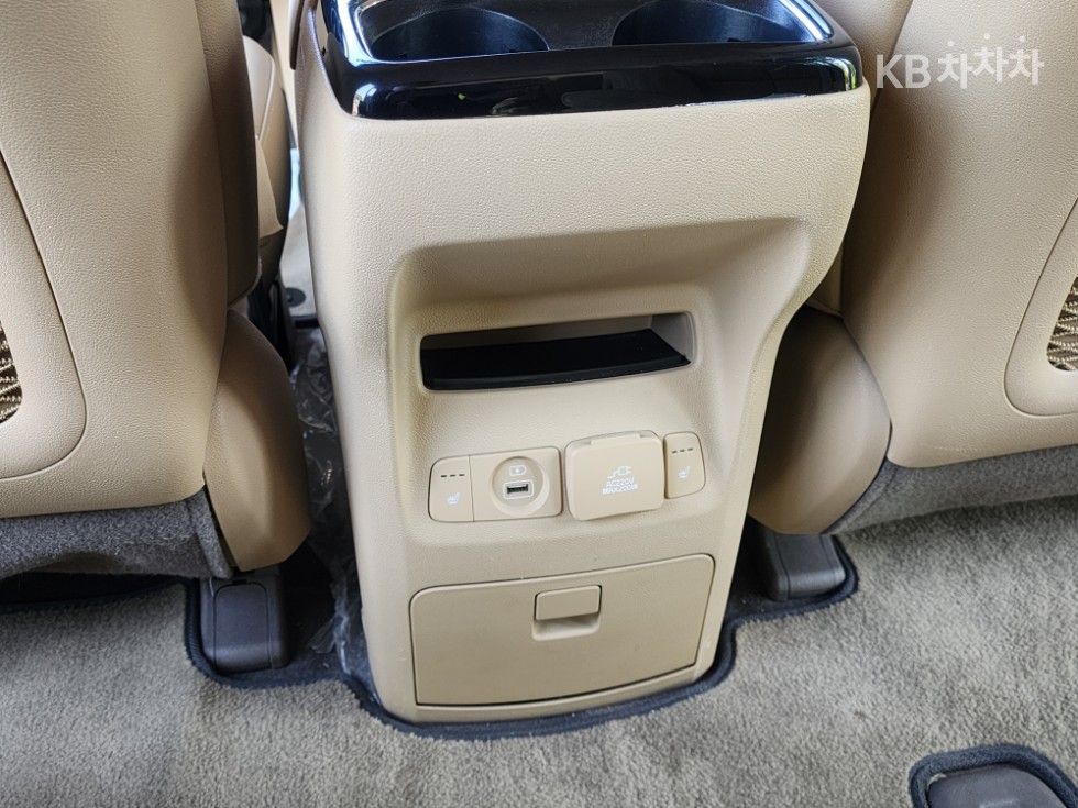 2019 - kia carnival