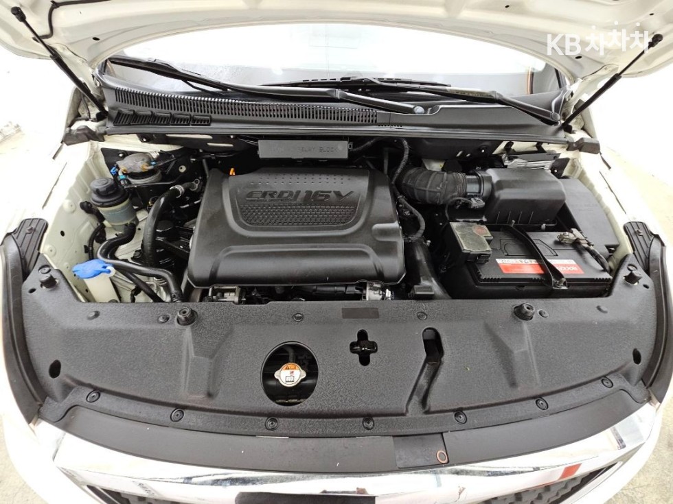 2013 - kia carnival