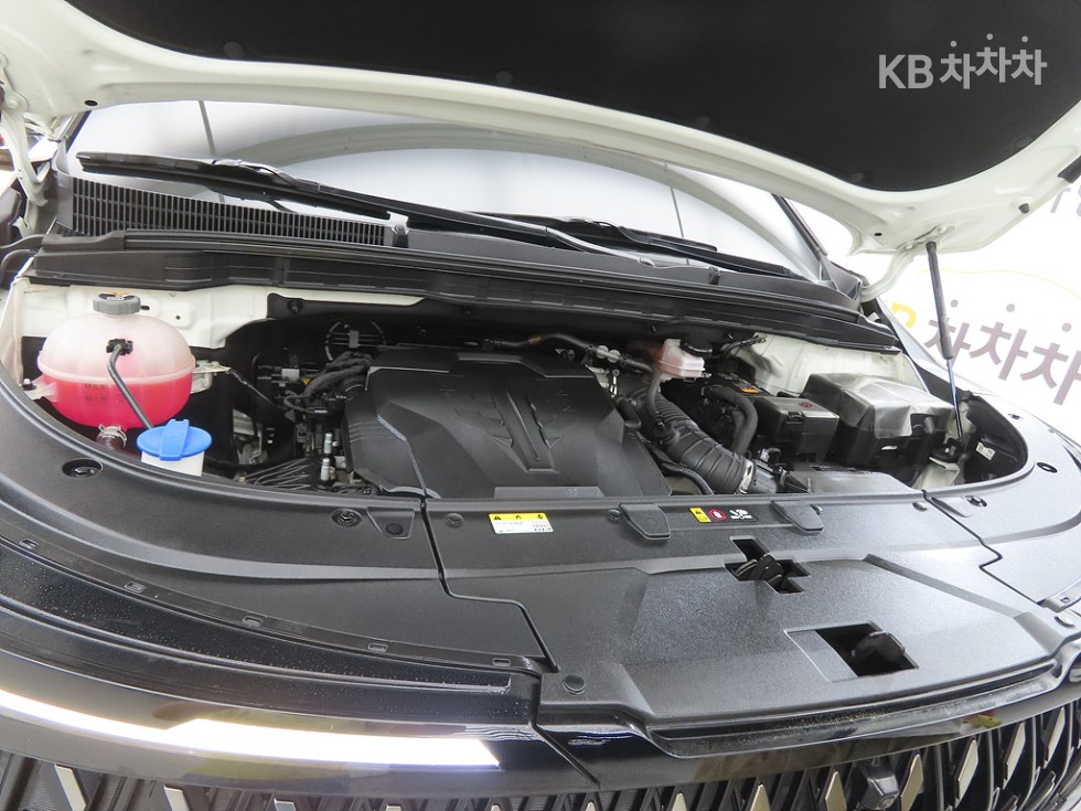 2024 - kia carnival
