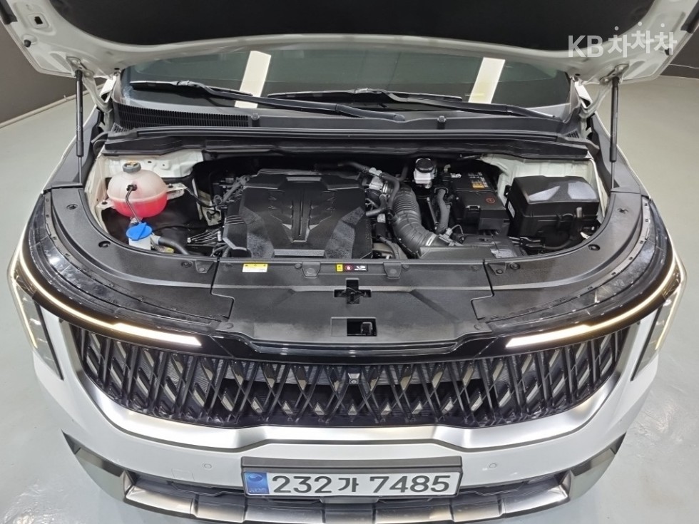 2024 - kia carnival