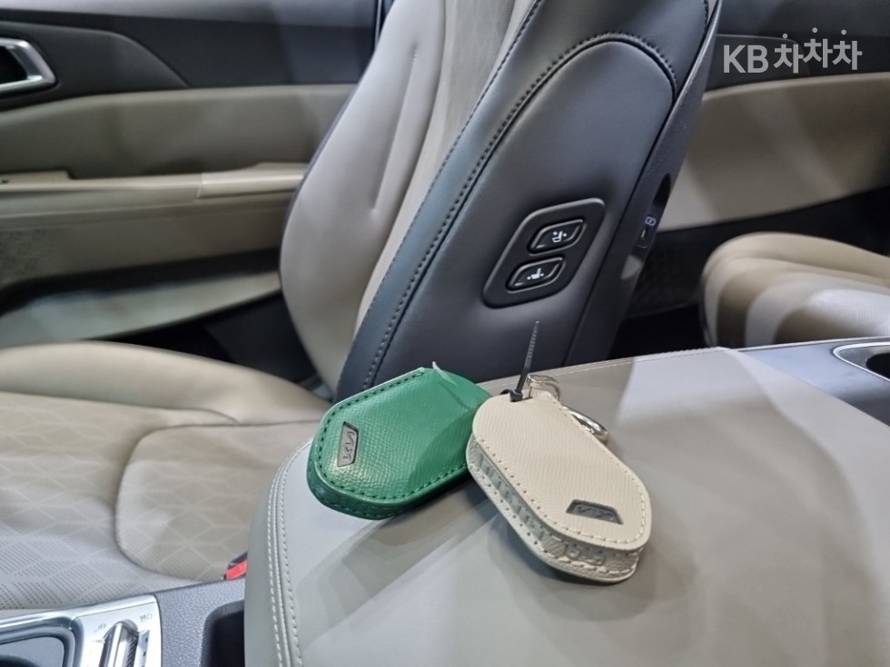 2024 - kia carnival