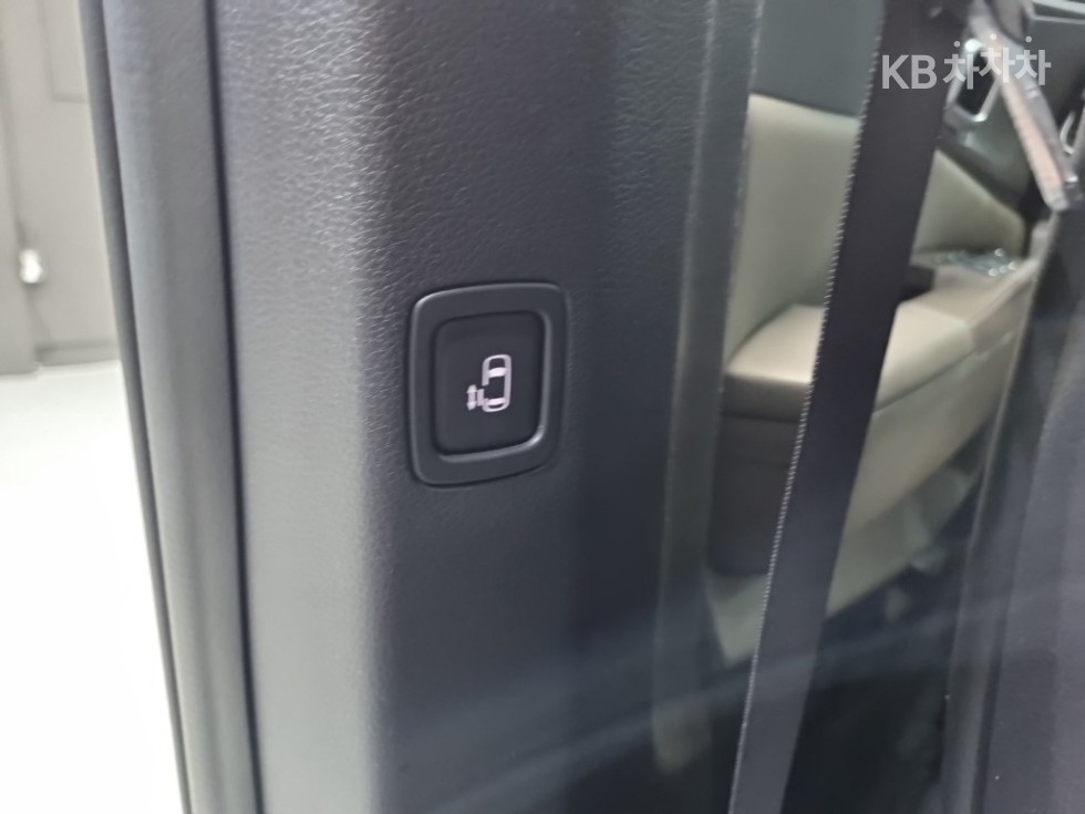 2024 - kia carnival