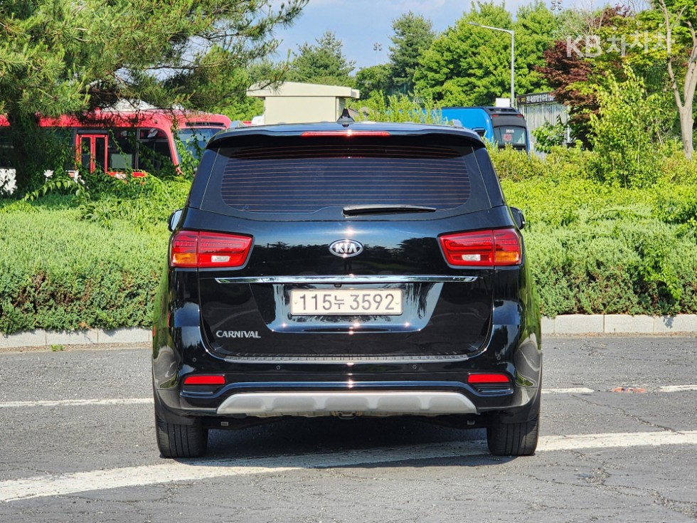2019 - kia carnival
