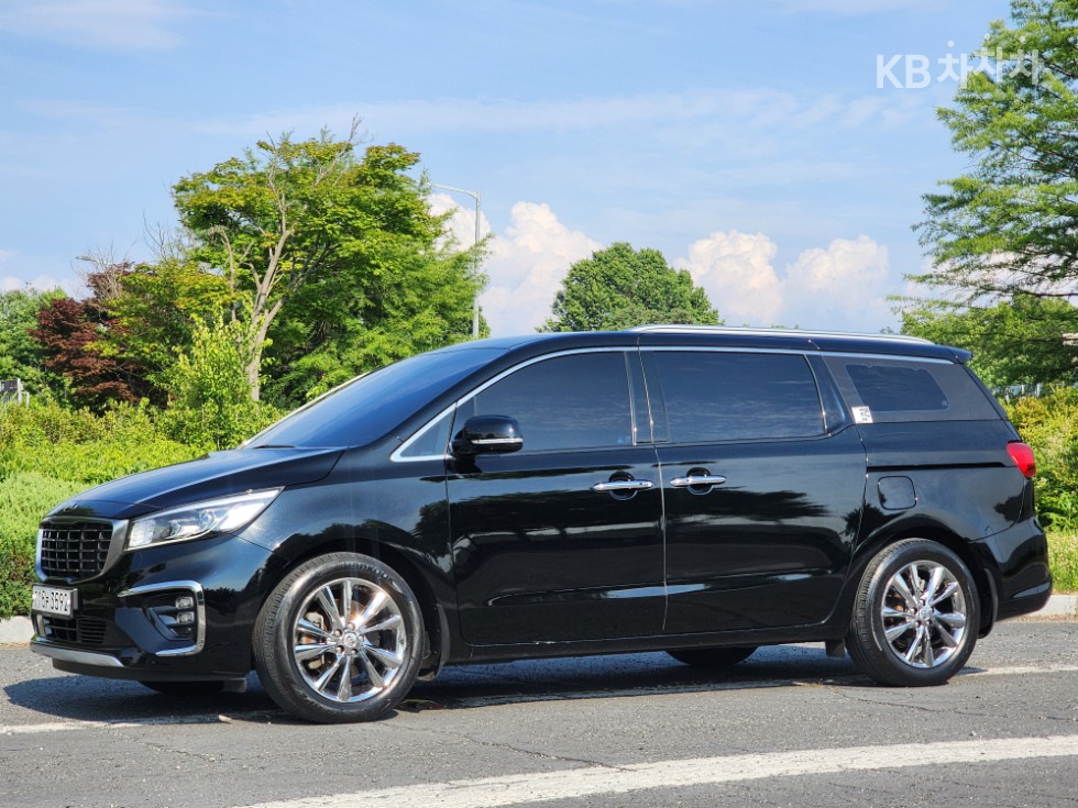 2019 - kia carnival