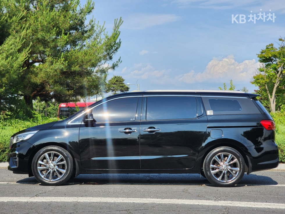 2019 - kia carnival