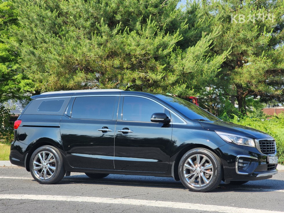 2019 - kia carnival