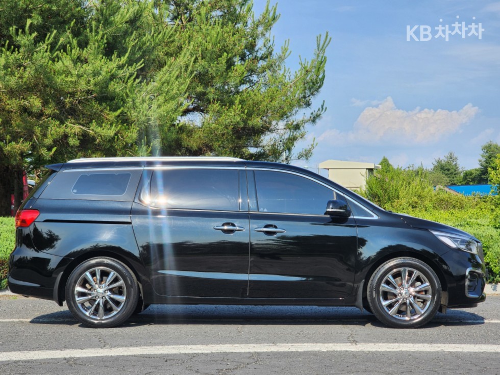 2019 - kia carnival