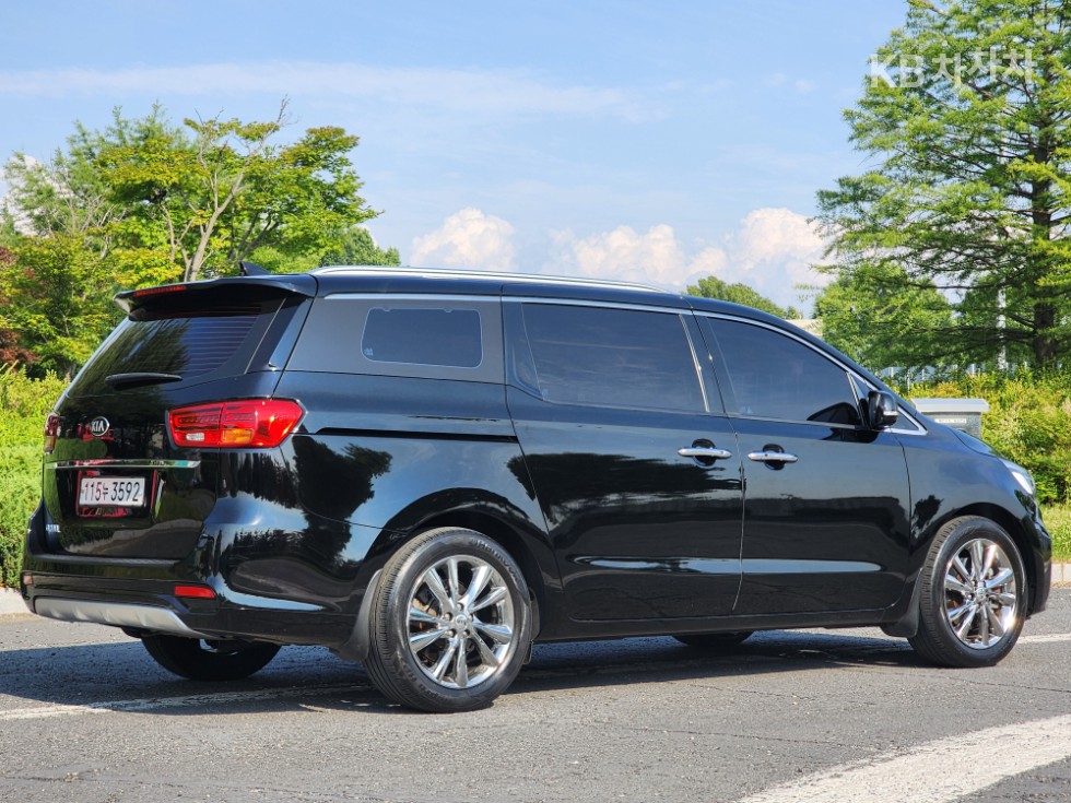 2019 - kia carnival