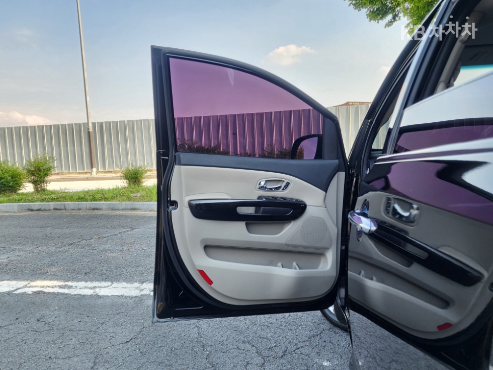 2019 - kia carnival