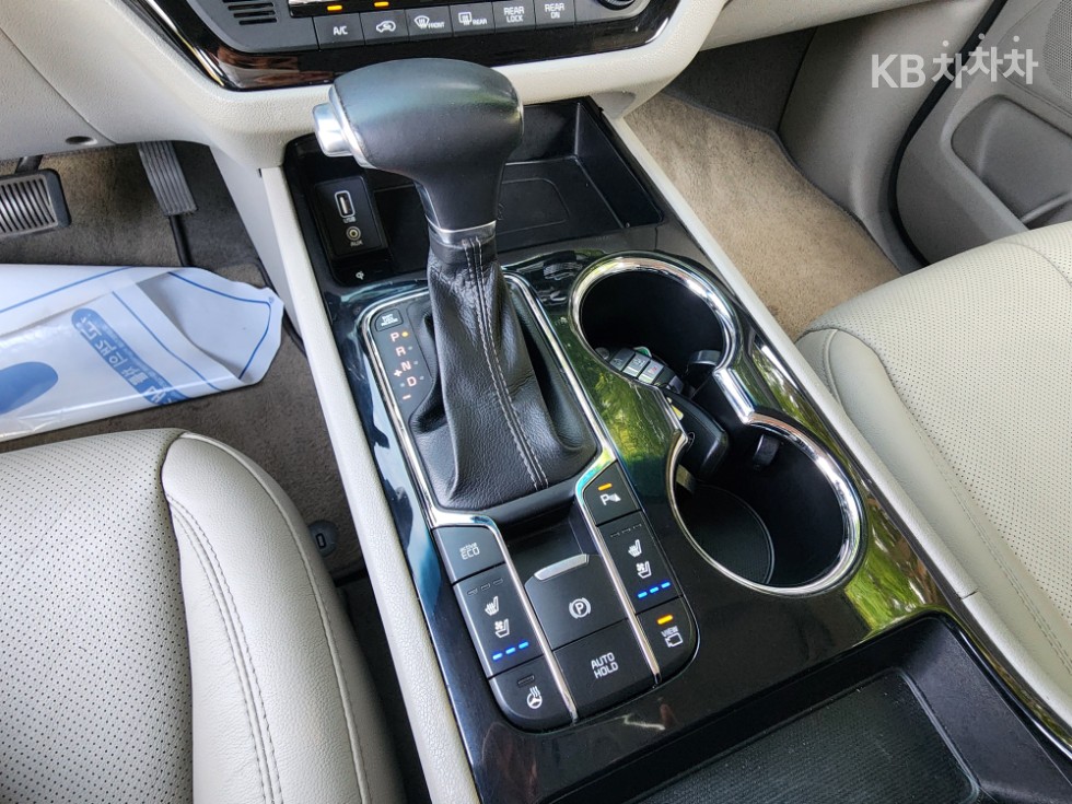 2019 - kia carnival