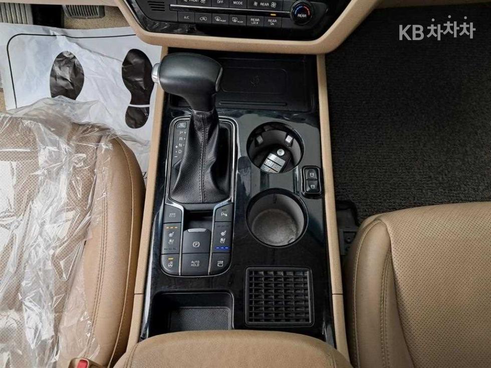 2019 - kia carnival