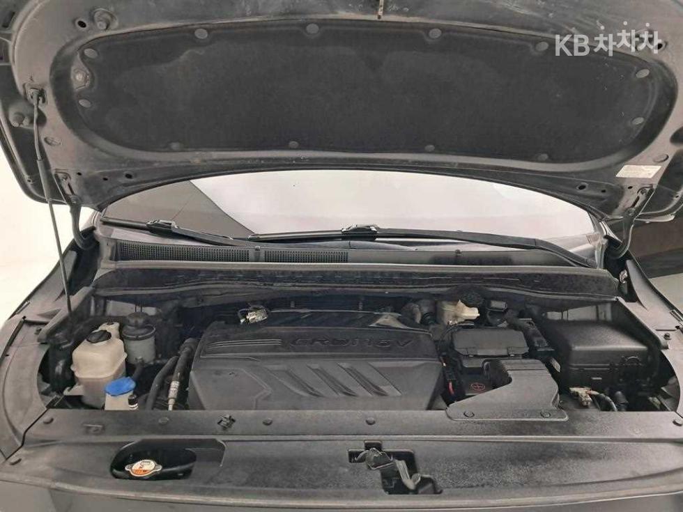 2019 - kia carnival