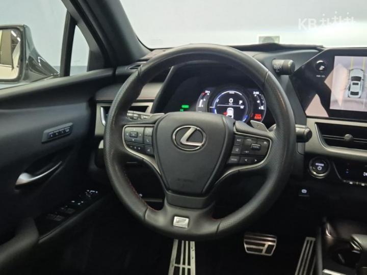 Lexus UX 250h F SPORT 10