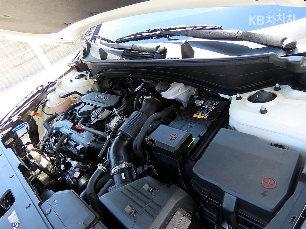 2024 - kia sportage