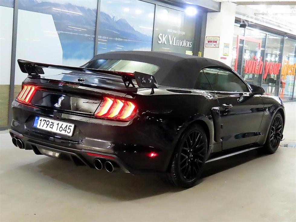 2019 Ford Used Car photo