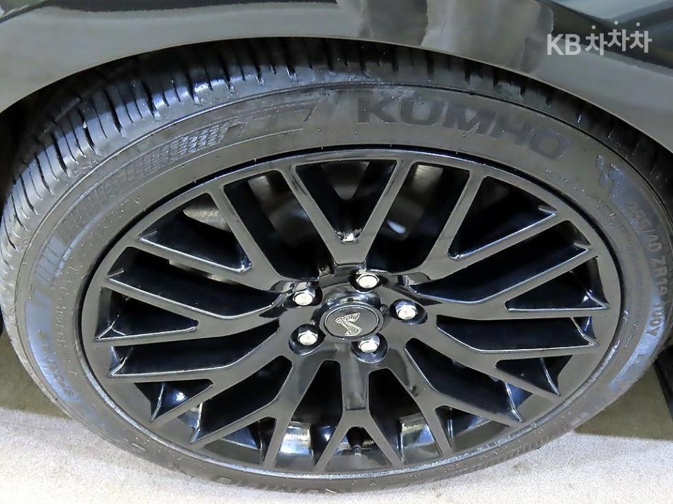 2019 Ford Used Car photo