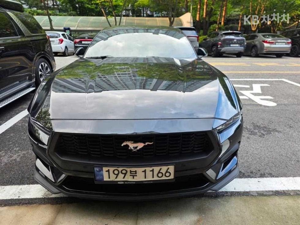 2025 Used Car — Korean used car export from SH GLOBAL