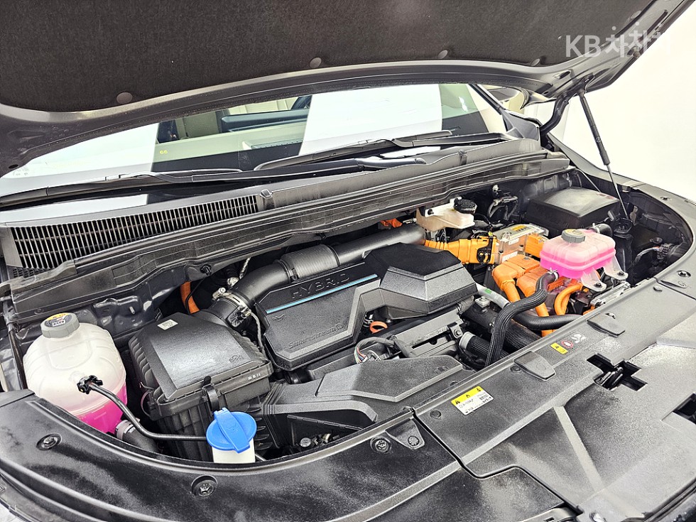 Kia Carnival — miniaturë 6