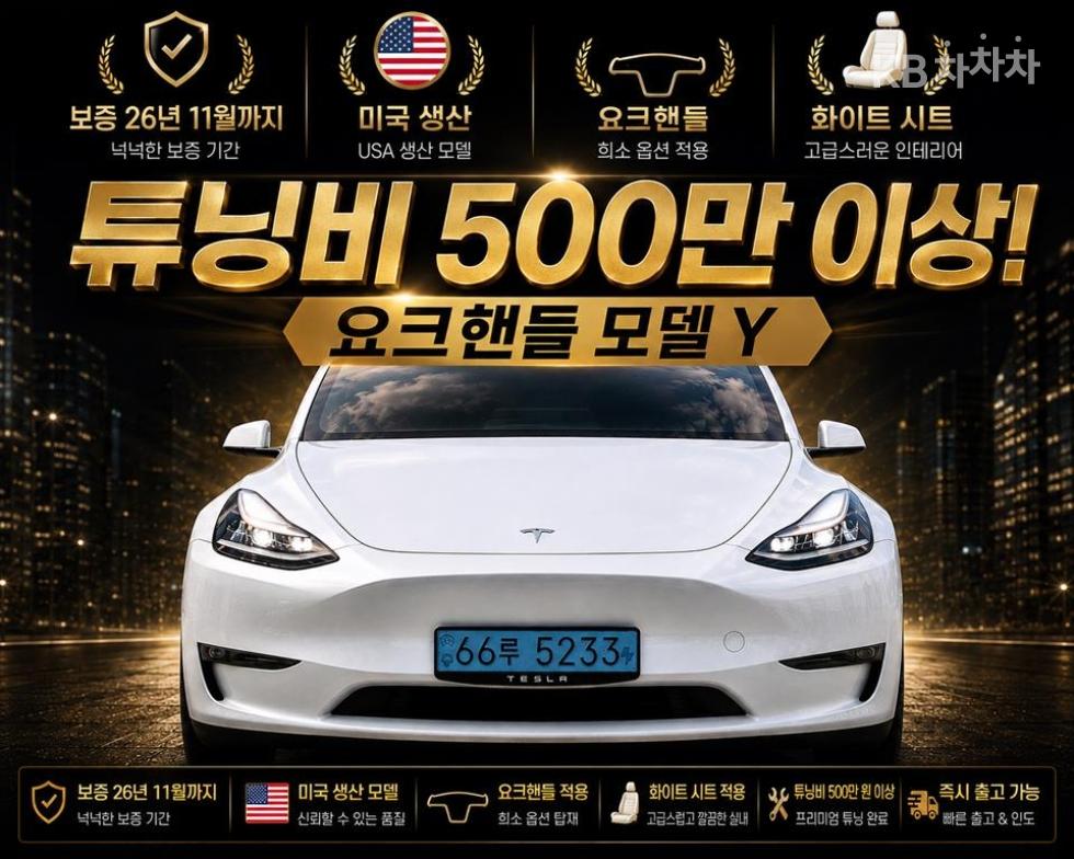 테슬라 모델 Y 2022년식 테슬라 Model Y Long Range