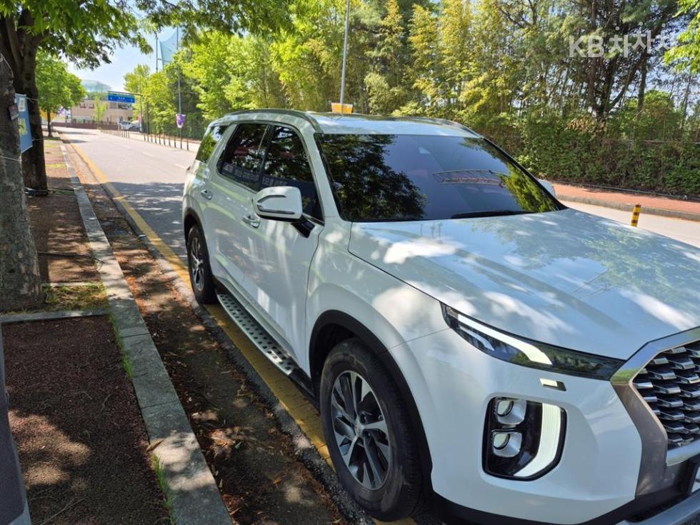 Hyundai Palisade, 2019, фотография 2
