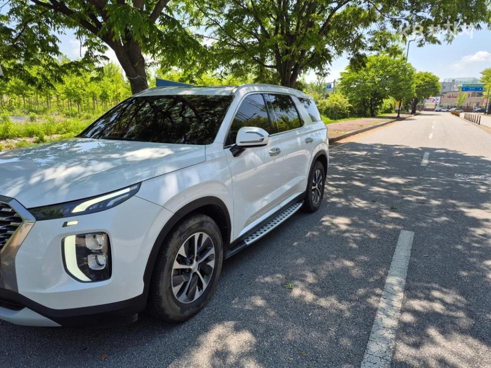 Hyundai Palisade, 2019, фотография 3