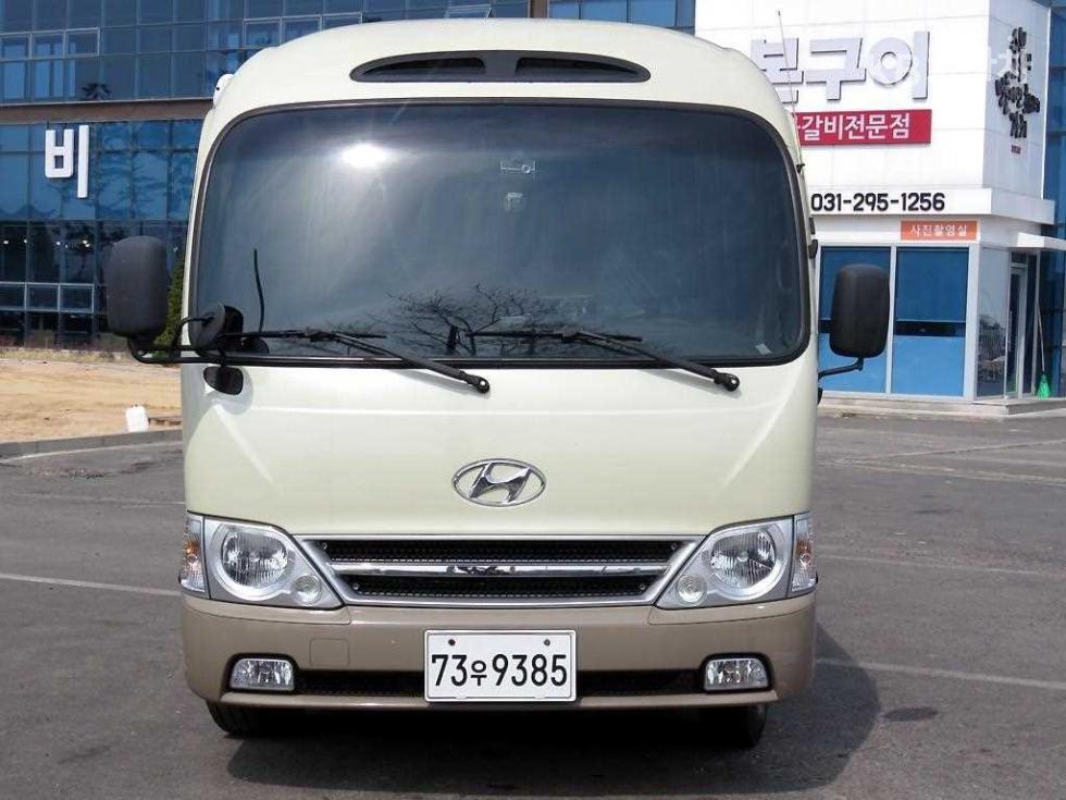 2010 hyundai e-county