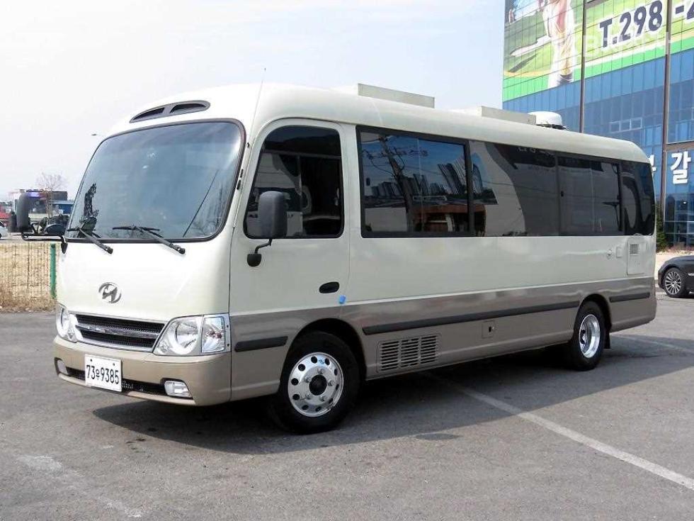 2010 - hyundai e-county