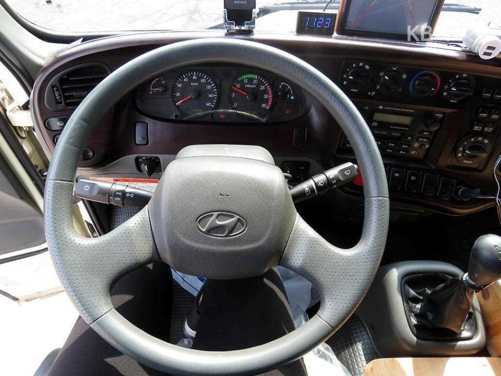 2010 - hyundai e-county