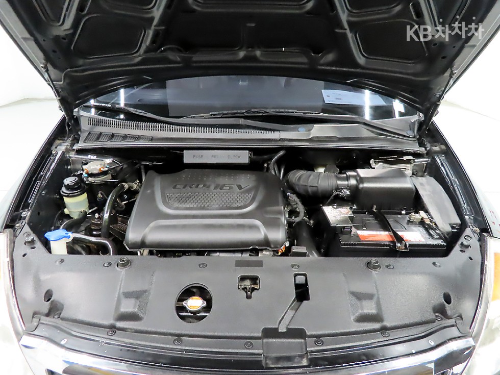 2012 - kia carnival