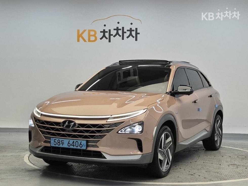 Hyundai 넥쏘 프리미엄 - фото 1