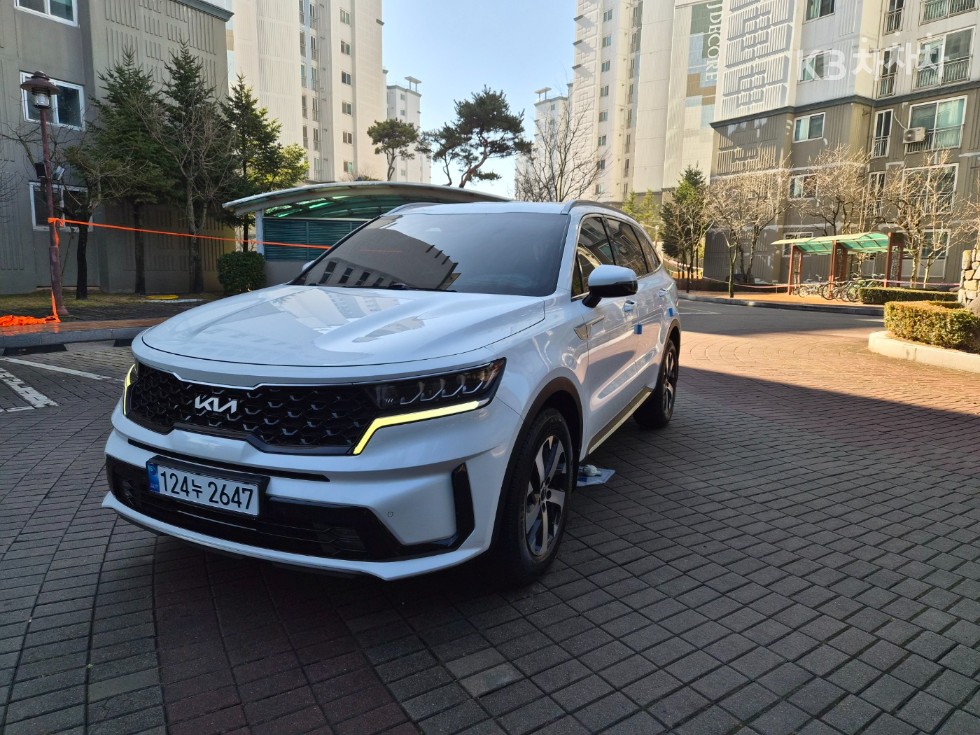 2022 - kia sorento