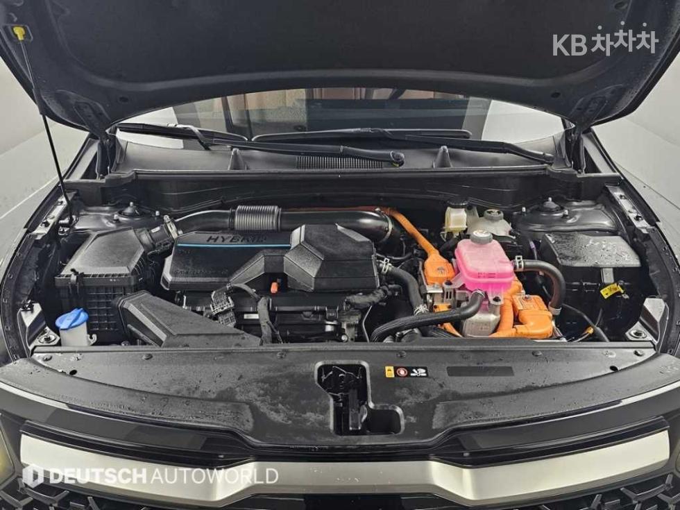 2023 - kia sportage