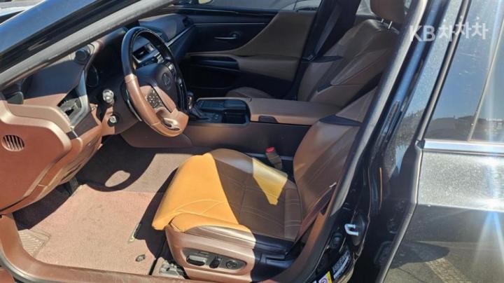 Lexus ES New Generation 300h Luxury+ 10