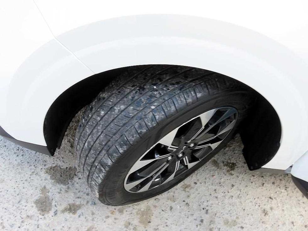 2023 - kia carnival
