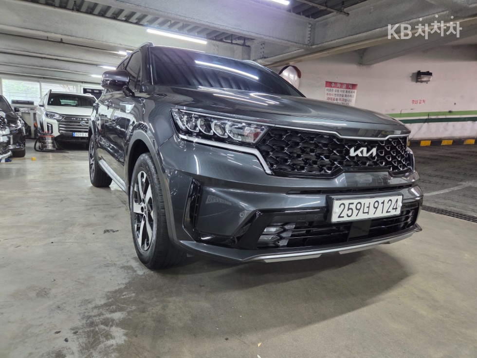 2023 - kia sorento