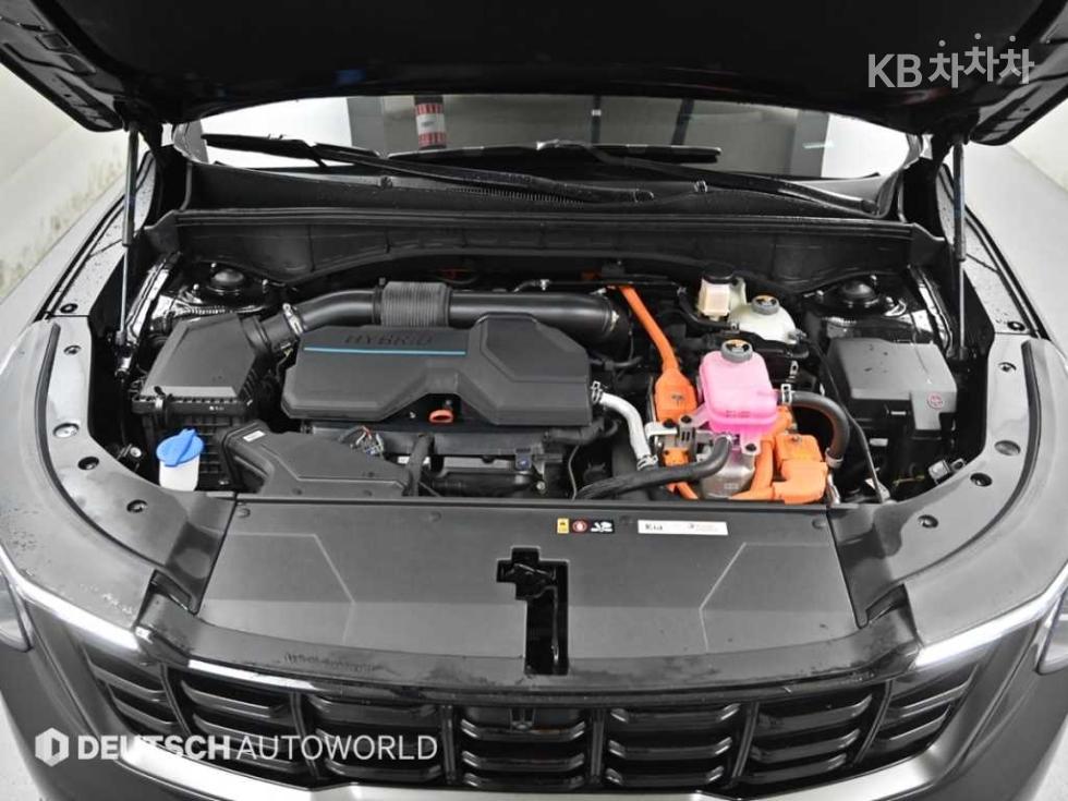 2024 - kia sorento